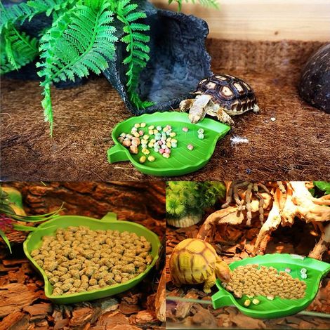 2 Stück Wassernapf, Futternapf, Trinknapf, Schildkrötennapf, Reptiliennapf für Kleintiere, Eidechsen, Spinnen, Skorpione (Grün) (1/5)