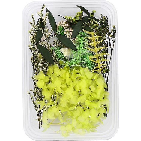 Set Trockenblumen-Accessoires (1/3)