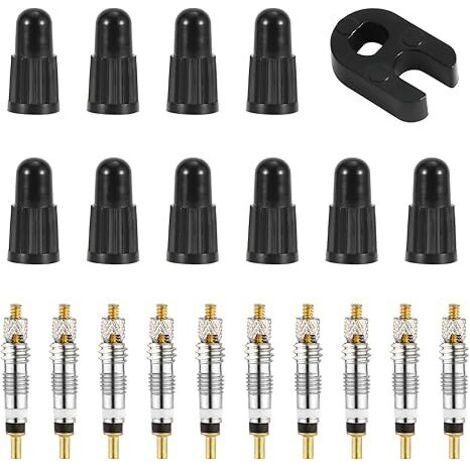 FENOPLASTICAKit de réparation de noyau de valve Presta, avec 10 noyaux tubeless en laiton de remplacement pour vélo, avec outil de retrait de noyau de valve, pour pneus tubeless de route et de VTT (1/5)