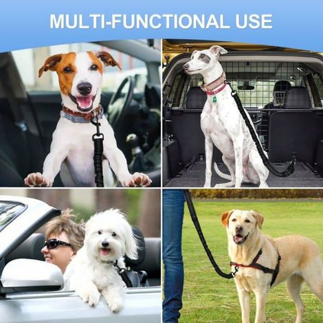 Ceinture De Sécurité Pour Animaux - Nylon Et Alliage De Zinc - Pour Chiens Et Chats - Ajustable 55 À 75 Cm - Noir - 1 Pièce (1/5)