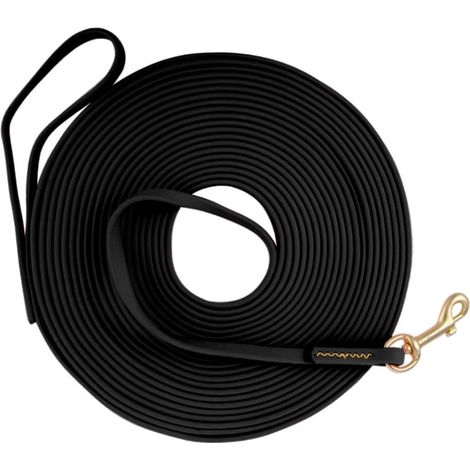 Longe pour Chien avec poignée Laisse pour Chien 1,5M 3M 5M 10M 15M, Laisse de Dressage imperméable pour Grands et Petits Chiens (1/5)