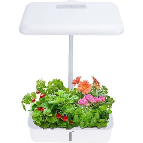 Système hydroponique intelligent LED 20 W pour plantes et fleurs, capacité de 5 L, pour la culture hors-sol de fruits et légumes, avec bac de germination, conforme aux normes européennes 100-240 V. (1/5)