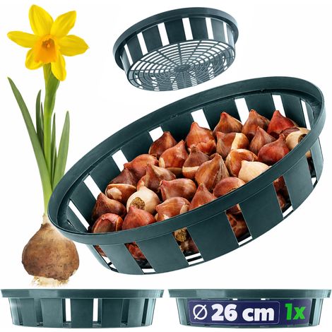 Filiyano-Panier KADAX pour bulbes, bulbes de fleurs, tulipes, protection de plantation, 22 cm (1/5)