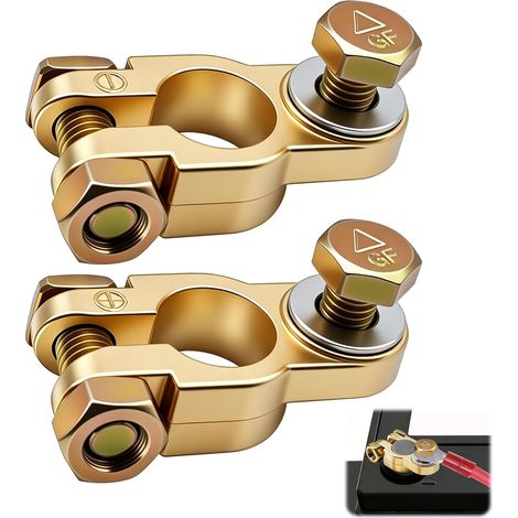 Bornes de Batterie avec Boulons en Alliage de Zinc Plaqué Cuivre (1 Paire) (1/5)