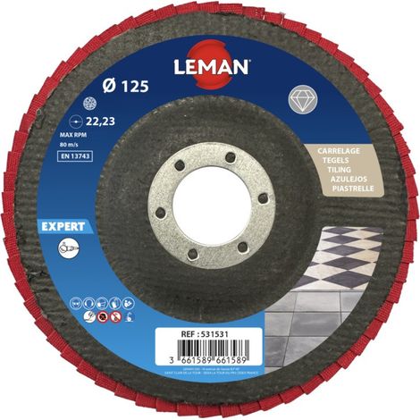 DISQUE LAMELLES FLEX. DIAMANTEES D125X22,23 GR120 ELECTROLYSE, SUPPORT FIBRE DE VERRE - 5312512 - LEMAN (1/5)