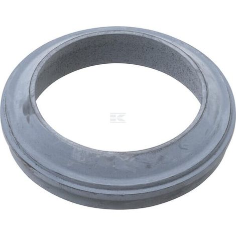 Abstreifer AGCO X540412500000