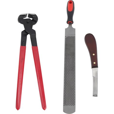 Kit d'outils de réparation de sabots : lime double face en acier, outil de coupe pour sabots pour chevaux, bovins, ovins et ânes (1/5)