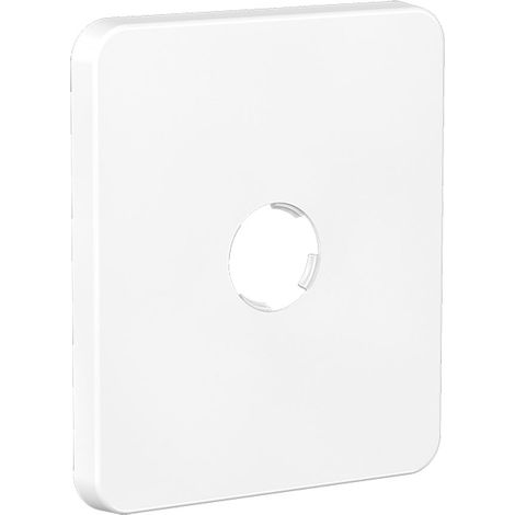 Watts – Cache de finition mono ABS blanc – Compatible mâle 3/8" (12/17) ou 1/2" (15/21) – Montage rapide en un clip – Pour mur non carrelé