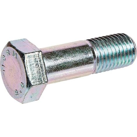 Vite testa es. M16x50-8,8 Z LEMKEN 3015409