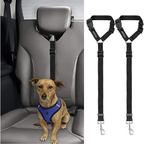 Lot de 2 cordes de remorquage pour voiture pour animaux de compagnie avec sangles de sécurité réglables