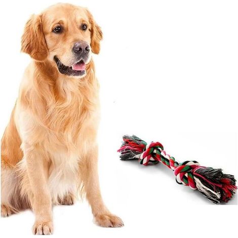 Jouet pour chien en corde de coton, jeu de nettoyage des dents, os à mâcher de 20 cm, nœud de corde pour l'hygiène buccale (1/5)