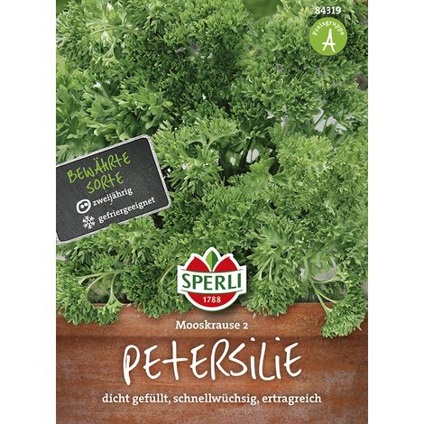 Sperli – Persil frisé Mooskrause 2 – Graines d'aromatiques, bisannuel, hauteur env. 20 cm (1/2)