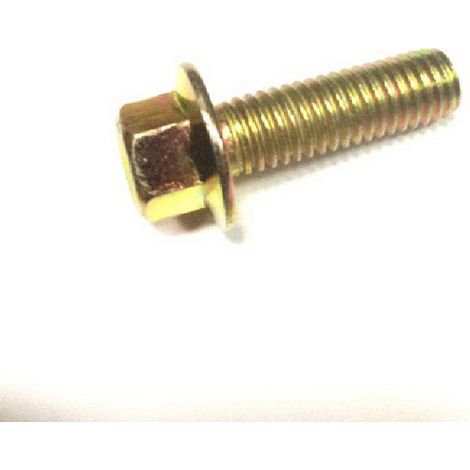 Tornillo Punta Cigüeñal compatible con Sr177F  Ref 976614