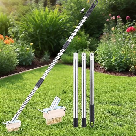 Outil de désherbage pour terrasse, brosse d&aposélimination de la mousse avec manche de 120 cm, outil de désherbage manuel (1/5)