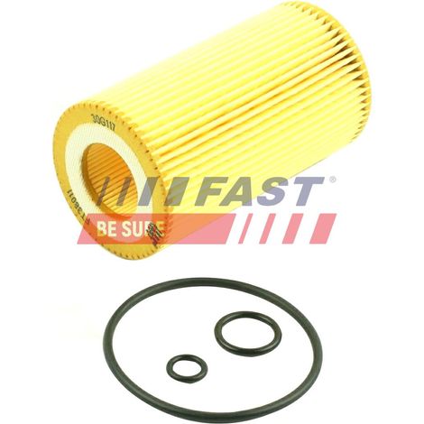 Ölfilter FT38011 schnell