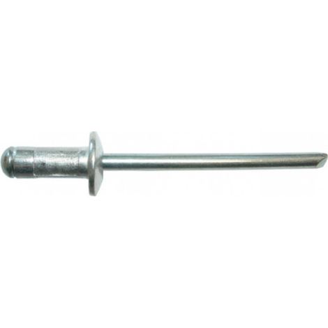 Set von 50 Gomulti Alu-Standardnieten DEGOMETAL - 4 x 12 mm