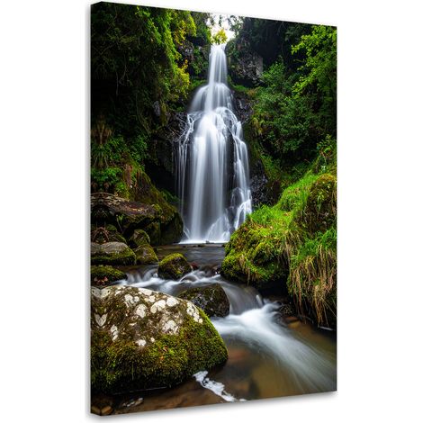 Wandbild Landschaft Wasserfall Bäume Natur 40x60 cm