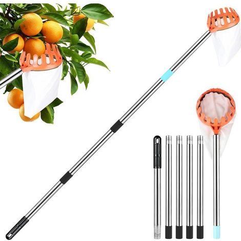 Cueille-fruits 2,4 m Acier inoxydable et coton Tête de protection Récolte pommes, poires, cerises et oranges (1/5)