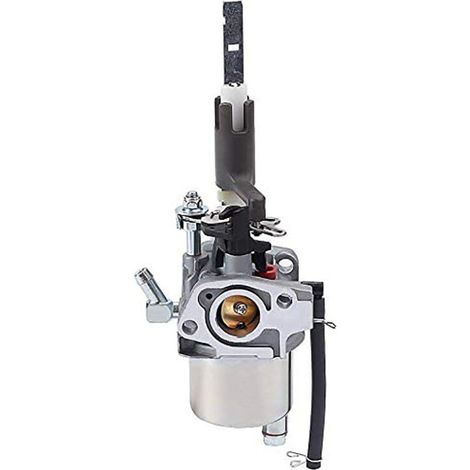 Chasse-neige ST224 921024 921028 921030 LCT 254cc L15D Carburateur (1/5)