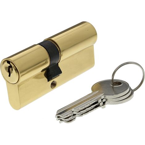 Bricard 30104 Cilindro di serratura doppio ingresso securipro Dimensione 30 + 40 mm in ottone