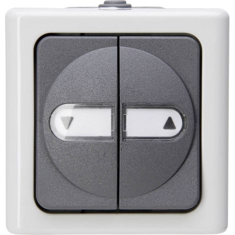 Interrupteur de store BLUE ELECTRIC® gris (1/2)