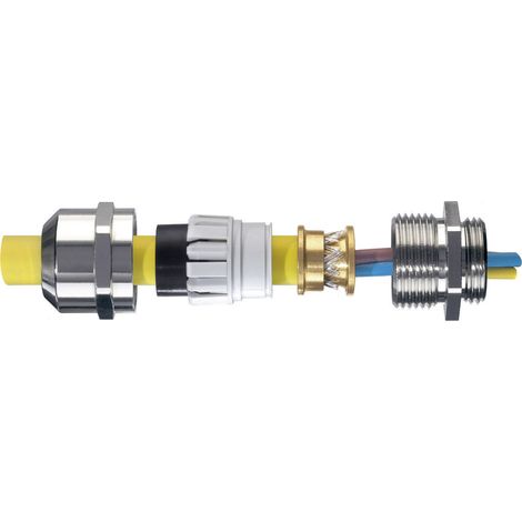 Wiska 10065019 Kabelverschraubung  M25  Messing Messing 50 St.