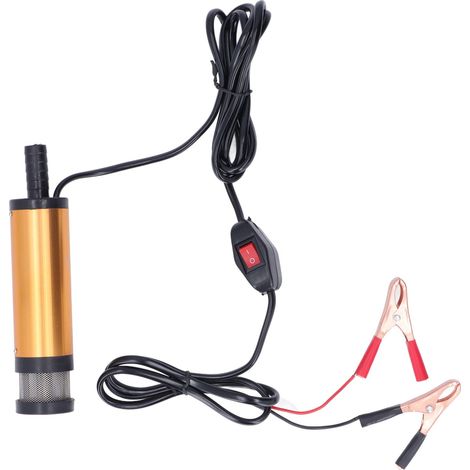 Pompe à huile électrique mini portable avec filtre pour transfert eau gazole diesel DC 12V 38mm (1/5)