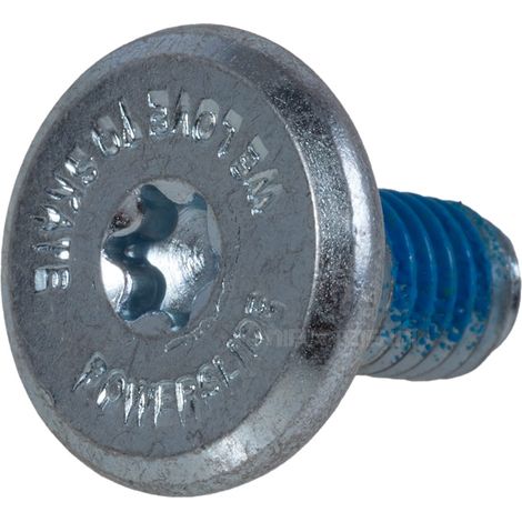 Powerslide Torx Befestigungsschraube 12mm Schienenschraube 1Stk. (1/2)