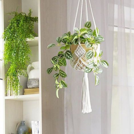 Lot de 2 suspensions pour plantes, corde coton tissée main, crochets inox, intérieur extérieur, diamètre pot 20 cm (1/5)