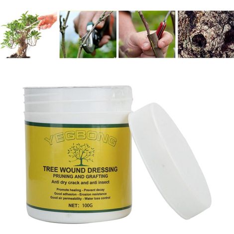 Résine de Guérison pour Plantes Arbres Fruitiers Cicatrisant 108g Pruning Sealant Pâte Protectrice Anti-Insectes Tous Climat Vif Efficace Roses Pots 1 Bot. (1/5)