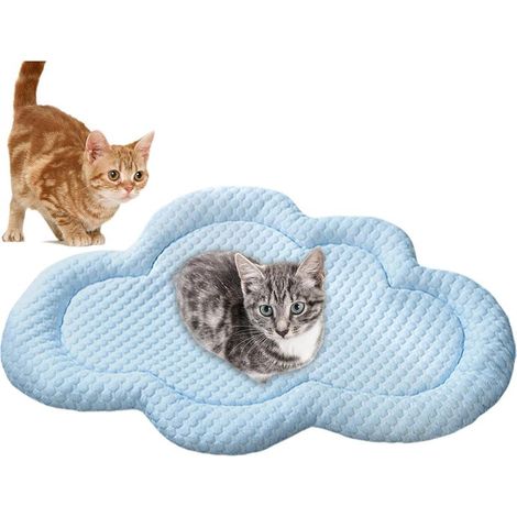 rafrachissant pour Chien Tapis rafrachissant pour Animaux de (1/5)