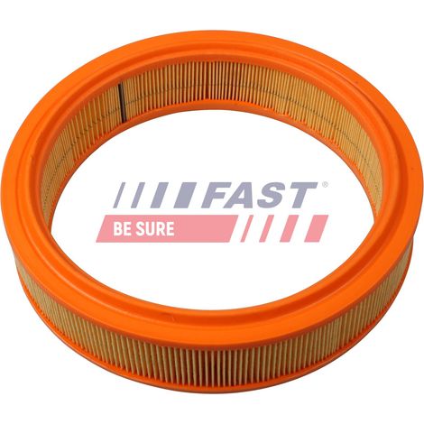 Filtro aria FT37073 rapido
