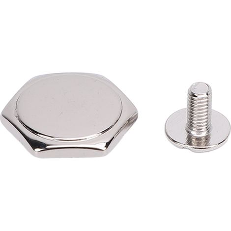 50-teiliges Ledernieten-Set, Sechskantnägel mit Schlitzschrauben, 15 mm, silberfarben, für Lederhandwerksbedarf (1/5)