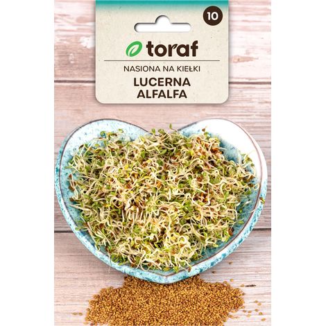 Semillas de alfalfa orgánicas para germinar (20 g)