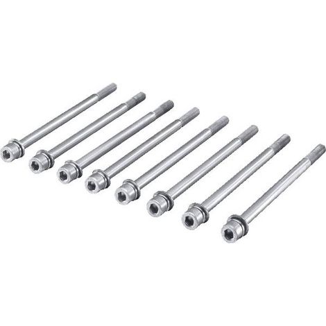 Vite Rittal sv 9676.811 M10 110 mm confezione 8