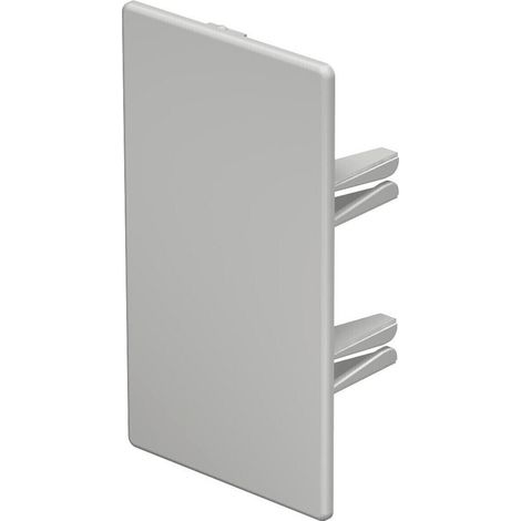 OBO Bettermann Endstück 60x110mm Polyvinylchlorid lichtgrau RAL 7035, 10 Stück, 6183824 (1/3)