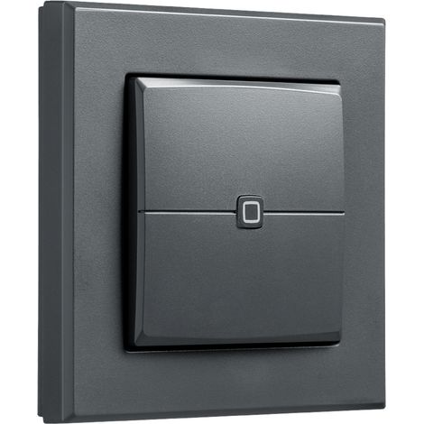 HOMEMATIC IP 159881A0, Wandtaster 2-fach, anthrazit (1/5)