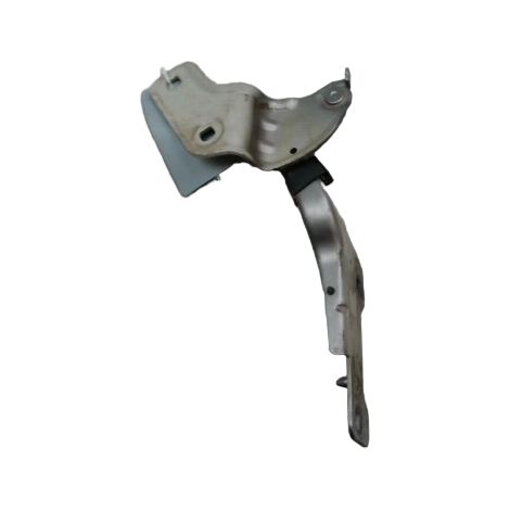 [PRODUIT D'OCCASION] Compas Droit Capot RENAULT Clio III Phase 2 2009-2014 ♻️ Ref Oe. 8200719034 - Garantie à vie (1/2)