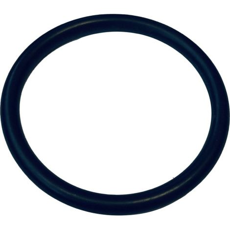 Wilo mechanisches Ersatzteil O-Ring Id.69,44X3,53 VP. (1/3)