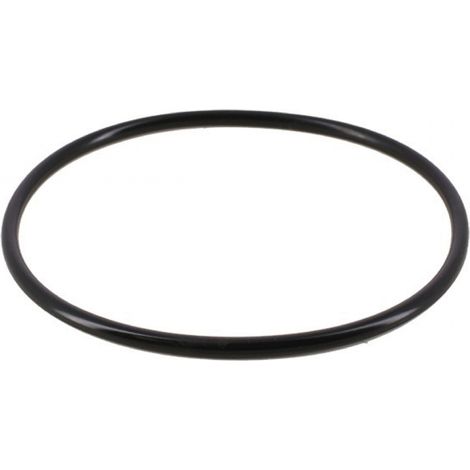 Hayward – Joint de couvercle pour pompe de piscine SPX3000S – Compatible Super II, RS II, RS II EVO – Diamètre intérieur 15.8 cm, extérieur 17.2 cm