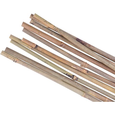 Stab Garden KBT 1800/12-14 mm, Pack. 10 Stk., Bambus, Stützstab für Pflanzen