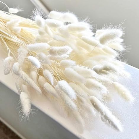 Jangostor 120 Pièces Queues de Lapin séchées Grass, 43CM Blanc Herbe de la Pampa Naturelle Queues de Lapin Naturelles Fleurs séchées pour la Maison Mariage Artisanat Bricolage (1/5)