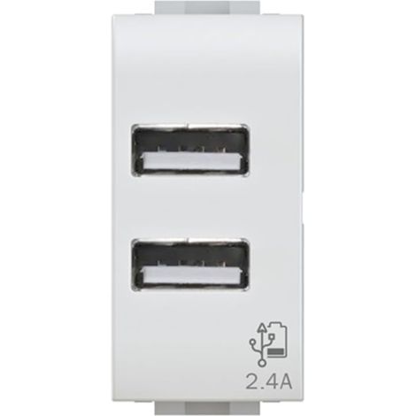 Prise USB 2.4 A à 2 sorties sur module simple compatible avec Bticino LivingLight blanche (1/5)