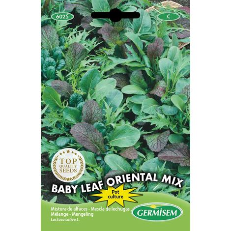 graines Mélange Babyleaf ORIENTAL MIX (1/2)