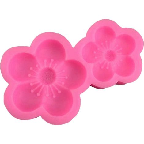 Moule en Silicone 2 Cavités pour Pâtisserie en Forme de Prune (1/4)