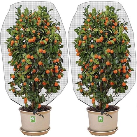 Filet de protection contre les insectes, filet fin, filet pour plantes de jardin et fruits (1/5)