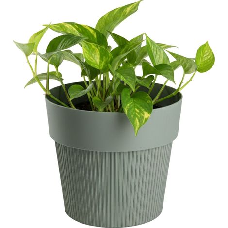 SILVA LINE Recycling-Blumentopf, graugrün, H 12,7 x 14,5 cm
