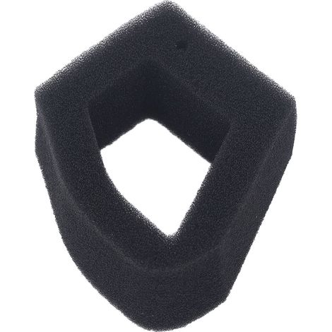 Filtre à air polyester résistant à l'usure 12 pièces pour moteur GX35 GX35NT, remplacement moteur thermique, haute efficacité, compatible tondeuse et débroussailleuse. (1/5)