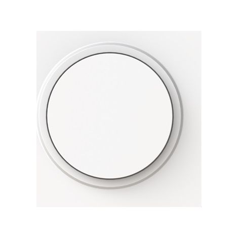 Busch-Jaeger Plaque centrale pour variateur bouton rotatif avec lampe témoin blanc studio mat - Busch-art linear® (6540-44M-102), 2CKA006599A3053