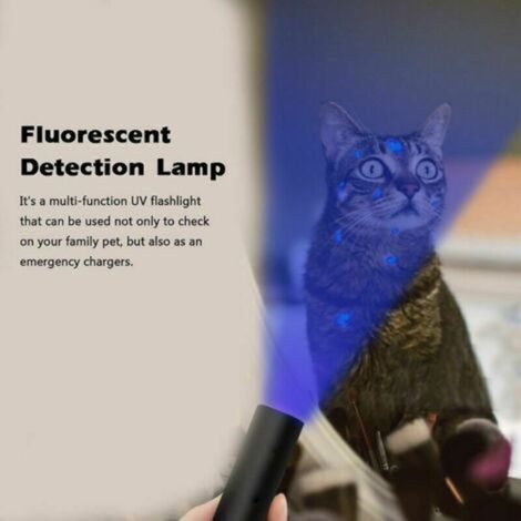 Lámpara UV de 365 nm para tiña, lámpara de prueba de hongos, lámpara recargable por USB, linterna UV para detección de fluorescencia (1/4)